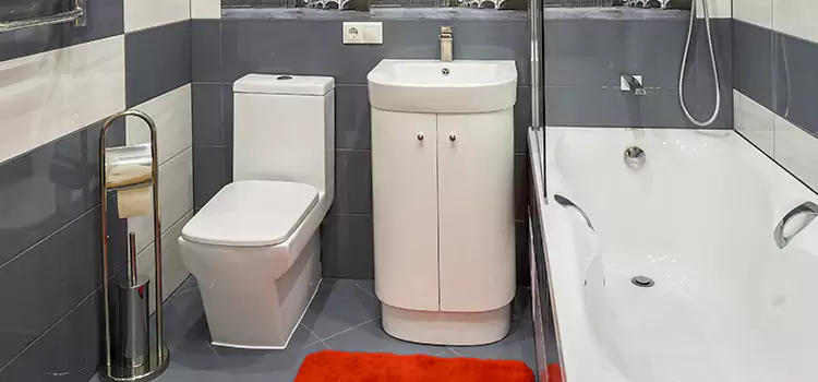 Hansgrohe Shaving Mirror Landover